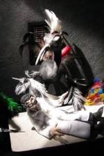 Watch Ornithology Myflixer