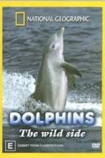 Watch Dolphins: The Wild Side Myflixer