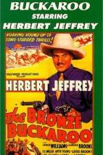 Watch The Bronze Buckaroo Myflixer