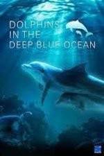 Watch Dolphins in the Deep Blue Ocean Myflixer