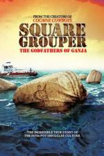 Watch Square Grouper Myflixer