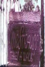 Watch Mr Strauss Takes a Walk Myflixer