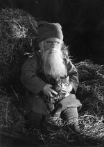 Watch Tomten Myflixer