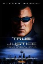 Watch True Justice: Brotherhood Myflixer