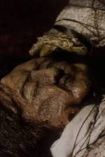 Watch The Separation Myflixer