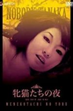 Watch Night of the Felines Myflixer