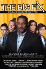 Watch The Big Fix Myflixer