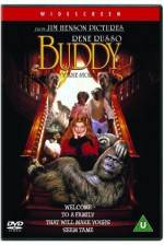 Watch Buddy Myflixer