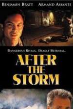 Watch After the Storm Myflixer