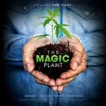 Watch The Magic Plant Myflixer