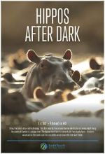 Watch Hippos After Dark Myflixer