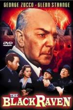 Watch The Black Raven Myflixer