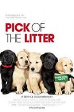 Watch Pick of the Litter Myflixer