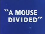 Watch A Mouse Divided (Short 1953) Myflixer