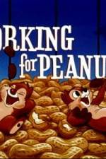 Watch Working For Peanuts Myflixer