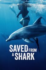 Watch Saved from a Shark Myflixer