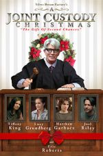 Watch A Joint Custody Christmas Myflixer