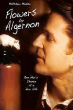 Watch Flowers for Algernon Myflixer