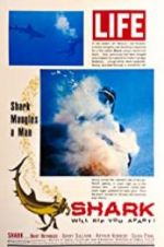 Watch Shark Myflixer