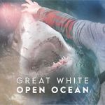 Watch Great White Open Ocean Myflixer