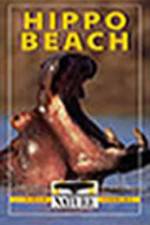 Watch PBS Nature - Hippo Beach Myflixer