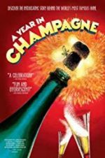 Watch A Year in Champagne Myflixer