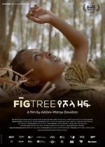 Watch Fig Tree Myflixer
