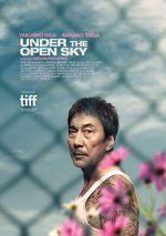 Watch Under the Open Sky Myflixer