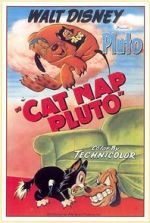 Watch Cat Nap Pluto Myflixer