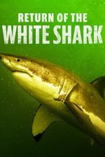 Watch Return of the White Shark Myflixer