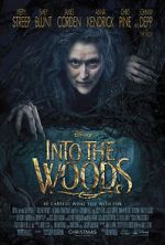 Watch Into the Woods Myflixer