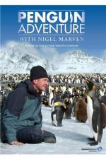 Watch Penguin Adventure With Nigel Marven Myflixer