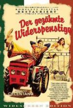 Watch The Taming of the Scoundrel Myflixer