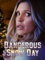 Watch Dangerous Snow Day Myflixer