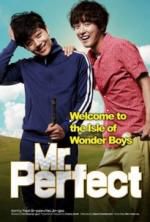 Watch Mr. Perfect Myflixer