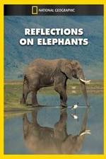 Watch Reflections on Elephants Myflixer