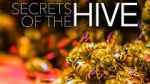Watch Secrets of the Hive Myflixer
