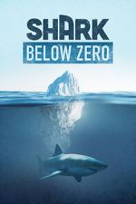 Watch Shark Below Zero Myflixer