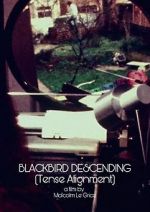 Watch Blackbird Descending Myflixer