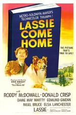 Watch Lassie Come Home Myflixer