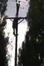 Watch After the Wind Myflixer