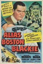 Watch Alias Boston Blackie Myflixer
