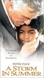 Watch A Storm in Summer Myflixer