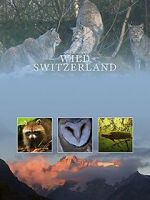 Watch Wilde Schweiz Myflixer