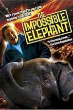 Watch The Incredible Elephant Myflixer