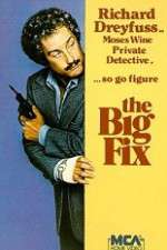 Watch The Big Fix Myflixer