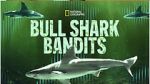 Watch Bull Shark Bandits Myflixer