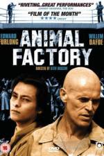 Watch Animal Factory Myflixer