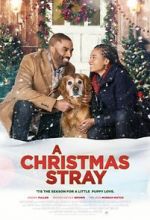 Watch A Christmas Stray Myflixer