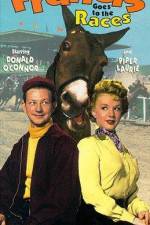 Watch Francis Goes to the Races Myflixer